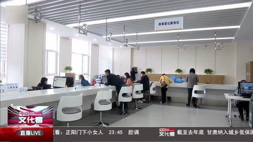 互聯(lián)網(wǎng)政務(wù)服務(wù)賦能藥品監(jiān)管 構(gòu)建高效透明的互聯(lián)網(wǎng)信息服務(wù)新模式